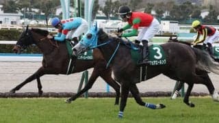 【クイーンS登録馬】フェアエールングなど21頭