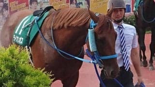 牝馬が強いアイビスSD 最後に勝った牡馬は6年前のライオンボス