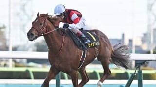 【アイビスSD見どころ】昨年の鬱憤を晴らすウイングレイテスト