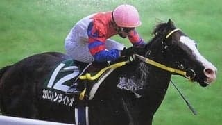 カルストンライトオの“53秒7”は今なお1位に君臨 アイビスSDの勝ち時計ランキング