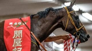 【関屋記念】売上は77億7604万3300円で昨年より約15億円増加