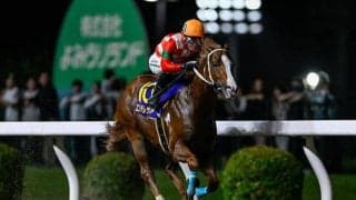 【船橋・習志野きらっとスプリント枠順】連覇を狙うエンテレケイアは6枠10番