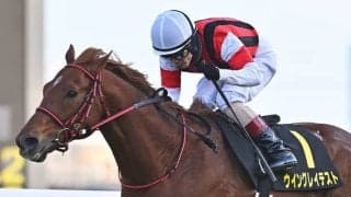 【AI予想・アイビスSD】「夏は牝馬」の格言が通用する重賞！ 本命候補はスピード能力に秀でた3頭