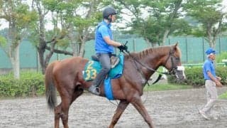 アーモンドアイの2番仔が日曜新潟で初陣 国枝師「総合的な点数は高い」/関東馬メイクデビュー情報