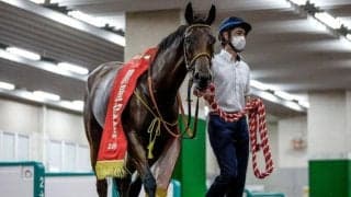 血統面から関屋記念＆東海Sを振り返る 勝ち馬2頭を深掘り
