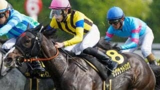 【クイーンS】武豊騎手が15年ぶり2勝目なるか テン乗りのシングザットソングで挑む