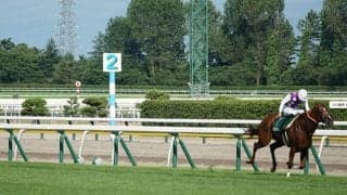 アイビスSDで最内枠から3着 バカラクイーンの記憶に残る内ラチ沿い