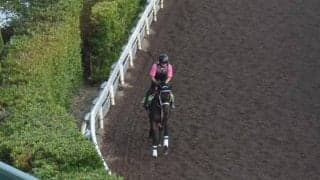 ジーティービキニなど、先週の入厩情報/栗東トレセンニュース