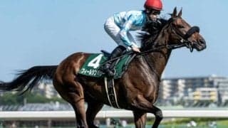 【クイーンS】横山琉人騎手が重賞初制覇なるか 実績十分のフィールシンパシーで参戦