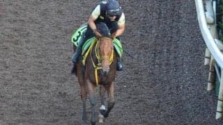 ワンワールドなど、先週のゲート試験/栗東トレセンニュース