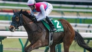 C.ルメール騎手がアイビスSDに初参戦 テン乗りのピューロマジックで戴冠なるか