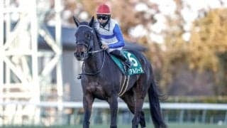 【クイーンS予想オッズ】アルジーヌが予想1番人気