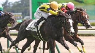 【新馬/新潟3R】ソールオリエンス半妹・フィロステファニがデビューV