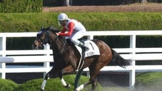 【アイビスSD展望】好走データに当てはまるカフジテトラゴンが重賞初制覇へ