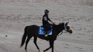 シュヴァリエローズ、札幌記念2週前追い切り速報/栗東トレセンニュース