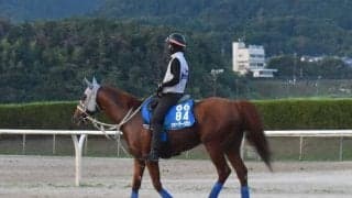 ウォーターリヒト、中京記念2週前追い切り速報/栗東トレセンニュース