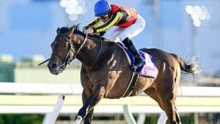 【レパードS想定】ジャナドリアやヴィンセンシオなど20頭