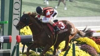 【アイビスSD予想】能力やコース適性は証明済み AIは魅力ある一頭を指名