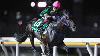 【船橋・習志野きらっとスプリント結果】転入初戦のファーンヒルが圧勝！重賞初制覇を飾る