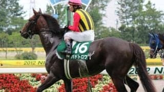 今年は13年ぶり「開幕2週目」開催のアイビスSD 前回覇者パドトロワの激走