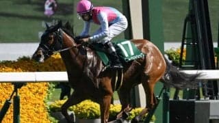 【アイビスSD出走馬・騎手確定】ピューロマジック＆C.ルメール騎手、テイエムスパーダ＆斎藤新騎手など18頭