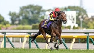 父はコントレイル、半姉は名牝リバティアイランド コニーアイランドが初陣Vなるか