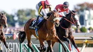 【納屋橋特別】母は重賞2勝のドナウブルー ディアナザールが待望の復帰戦だ