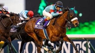 名牝アーモンドアイの2番仔 プロメサアルムンドがデビューVなるか