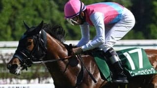 【アイビスSD枠順確定】ピューロマジックは3枠6番、テイエムスパーダは7枠13番