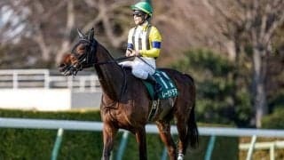 【クイーンS枠順確定】レーゼドラマは5枠7番、アルジーヌは6枠10番