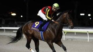 【レパードS想定馬・騎手】ジャナドリア、ヴィンセンシオなど23頭