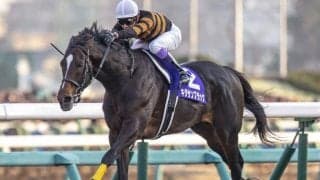 母は米G1馬 キタサンブラック産駒のフォルナックスがデビューV狙う