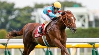 「ウマ娘」藤田晋オーナーの2.6億円馬 サンダーバードが武豊騎手で初陣だ