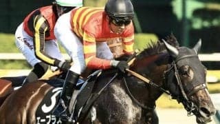 札幌芝はキズナ産駒に注 エープラスが波乱を呼ぶか