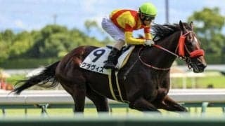 兄姉2頭が海外G1馬 グラヴィスが待望の3勝目なるか