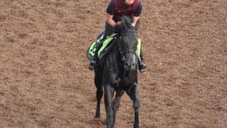 【今日の注目ポイント】リバティアイランドの半妹コニーアイランドがデビュー