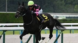 【STV賞】やや波乱傾向の一戦 伏兵でも要注意の血統とは