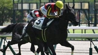 【中京2R新馬戦結果】リバティアイランドの半妹コニーアイランドが初陣飾る
