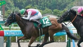 【競馬予想】万馬券が続出のアイビスSDで注目すべき血統は？　芝1000ｍを駆け抜けそうな２頭をチェック