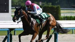 【アイビスSD予想】間隔が空きすぎている馬には鬼門とも言える一戦 近況も一息で評価を落としたい人気馬とは