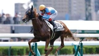 【札幌4R】ブラストワンピース半妹 ロパシックが初勝利