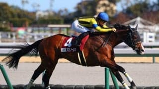 プログノーシスの競走馬登録抹消…種牡馬入り