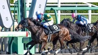 オープン2勝の実力馬 スズカコテキタイが要注目の障害初陣だ
