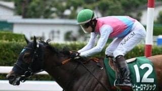 【AI予想・アイビスSD】新境地を開いた快速馬！ 絶好調の鞍上を味方に久々の勝利をつかみ取る