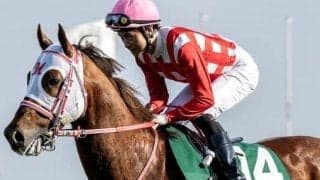 アイビスSDは内枠からのアウト差しがトレンド!? クムシラコで高配狙いだ