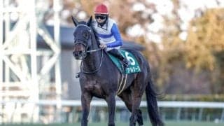 【クイーンS前日オッズ】アルジーヌとレーゼドラマが3.9倍で1番人気