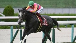 【アイビスSD前日オッズ】テイエムスパーダとピューロマジックが4.2倍で1番人気