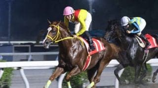 【高知・物部川特別】塚本征吾騎手＆ミスズグランドオーが力強く押し切る…高知初白星