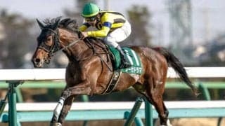 【今日の注目ポイント】札幌でクイーンSと新潟でアイビスSD