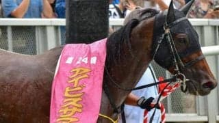 【アイビスSD】牝馬が強い一戦 内枠勢の戦法にも要注意